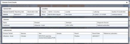 egypth5n1march20172.JPG
