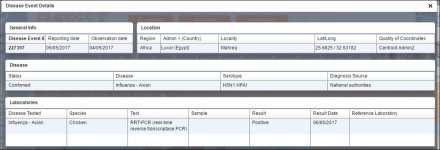 egypth5n1may6.JPG