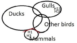 venn2.JPG
