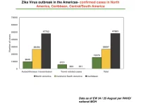 photo24824.webp