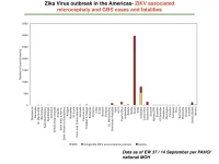 photo24996.webp