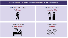 flu estimates.png