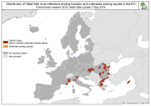 ECDC_WNF_Affected_current_season_HumanAndEquidae_EUEEA_33 6 09 2019.png