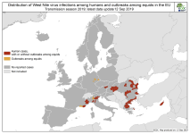 ECDC_WNF_Affected_current_season_HumanAndEquidae_EUEEA_34 sept 13 2019.png