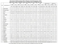 Encephalitis.webp
