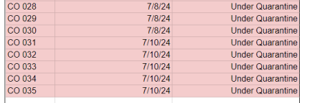 Screenshot 2024-07-12 102234.png