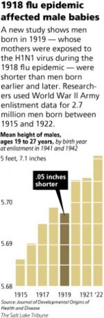 20090930__SwineBabies_1001~2.jpg 20090930__SwineBabies_1001~2.jpg