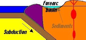 forearc.jpg