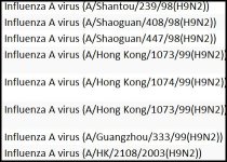 H9N2 - B.JPG