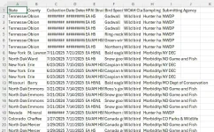 Screenshot 2025-07-25 090516.webp