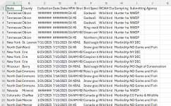 Screenshot 2025-07-25 090516.png