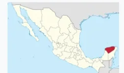 image.webp