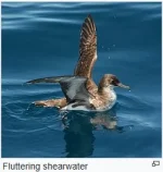 image.png - Click image for larger version  Name:	image.png Views:	1 Size:	89.7 KB ID:	1040016