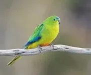 1788281582374.webp