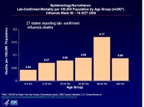 US fatality rate.JPG