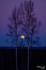 blue moon.jpg
