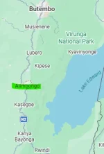 1791125709468.webp