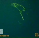 oil 6-6 floater.jpg