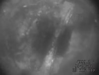 oil 8-23 colon resized.jpg