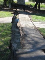 path.jpg