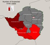 Zimbabwe H1N1 11-9-2010.jpg