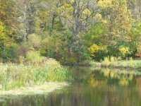 Creek at the curve.jpg