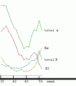 fng7.gif