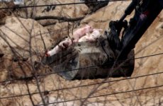 burying alive1.jpg