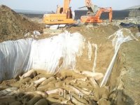 burying alive3.jpg