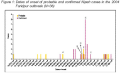 Nipah 1.PNG