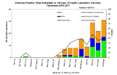 Week 4 TN Isolates.png