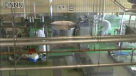 snap20110224083921.jpg