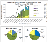 Week 7 AZ Isolates.png