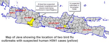 Java H5N1 20110226.jpg