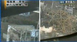 snap20110317234933.jpg