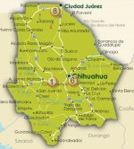 H1N1 Chihuahua 20110325.jpg