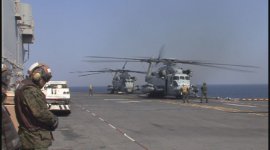 115094_video.jpg