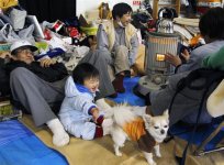 Z20110317GZ0JPG000326004000.jpg
