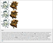corel003.jpg