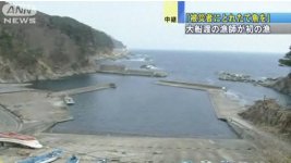 snap20110331204237.jpg
