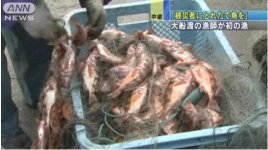 snap20110331204459.jpg