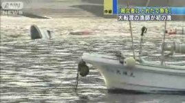 snap20110331204525.jpg