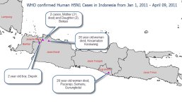 Indonesia H5N1 20110409.jpg