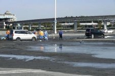 20110316-872579-1-L.jpg