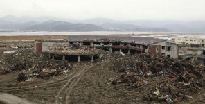 20110409-289962-1-L.jpg