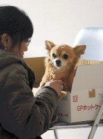 20110413-108671_L.jpg