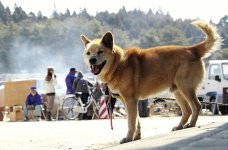 20110413-108672_L.jpg