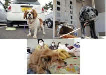 20110413-108674_L.jpg
