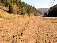 TKY201104130240.jpg