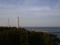 75778377_org.v1303031133.jpg